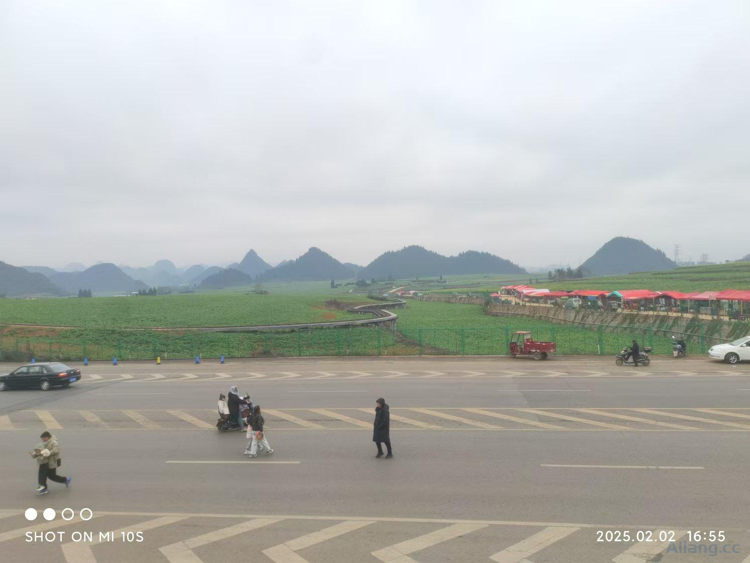 等不了菜花开,就提前来把菜花看吧!